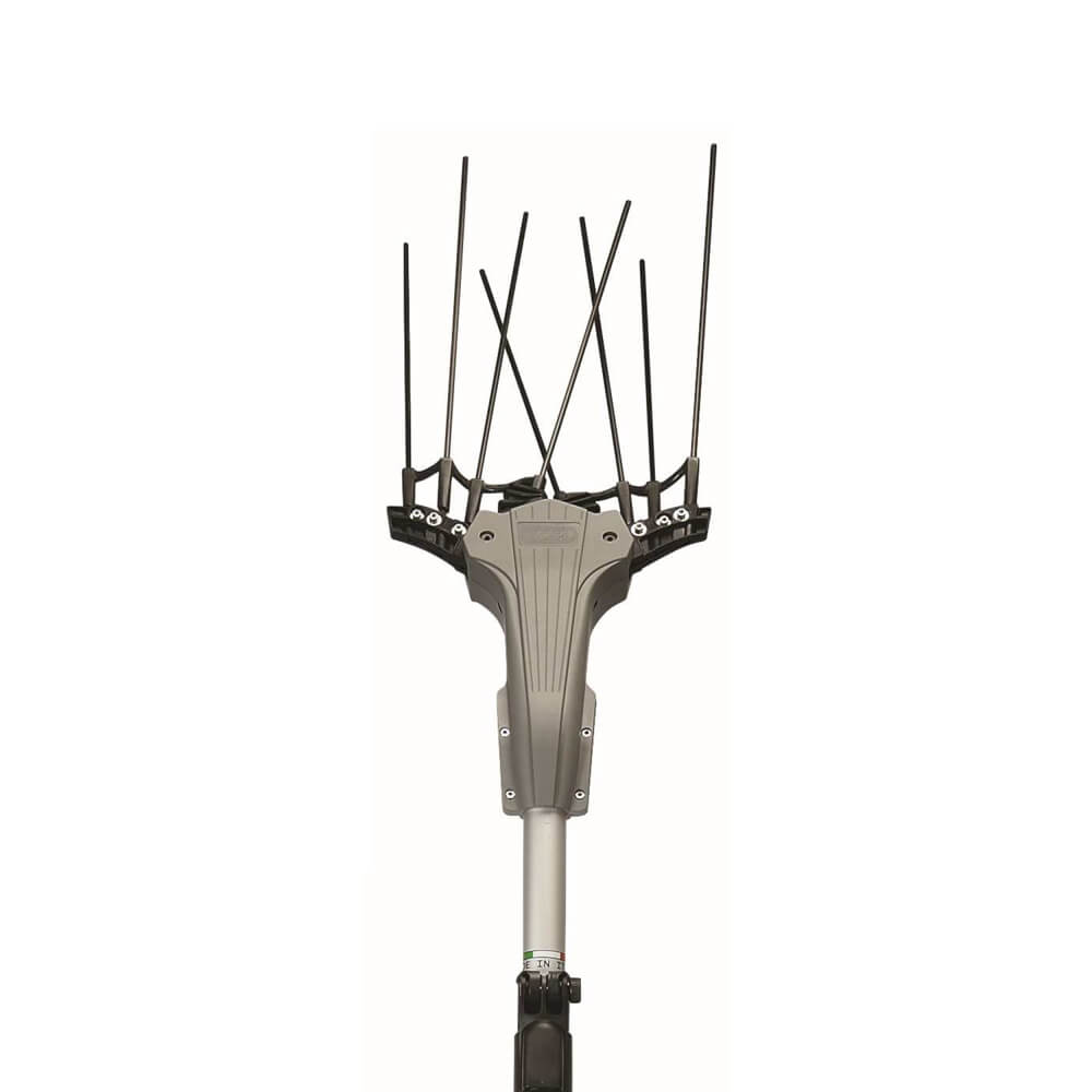 testa mondial 12